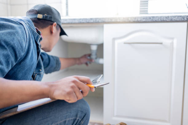 Best Septic Systems  in Laingsburg, MI
