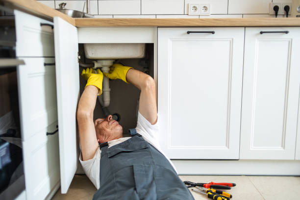 Best Sewer Line Repair  in Laingsburg, MI