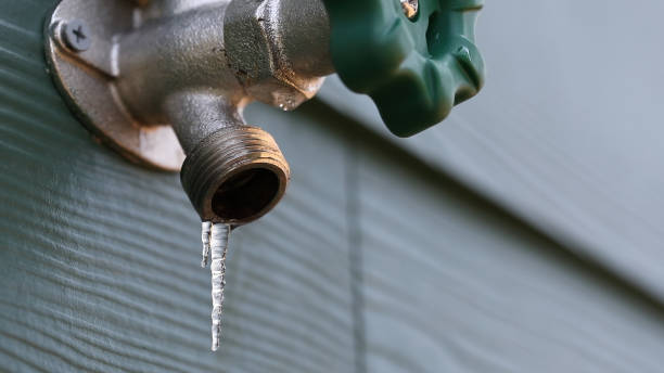 Best Water Leak Repair  in Laingsburg, MI
